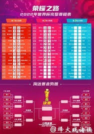 伊朗球员质疑美国记者安全感与信心
