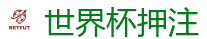 2026世界杯 (FIFA WorldCUP)中国下注指定网站